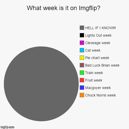 Dose anyone REALLY know at this point? | image tagged in funny,pie charts,theme week | made w/ Imgflip chart maker