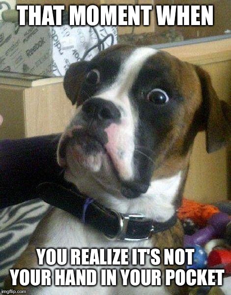 Oh god... | THAT MOMENT WHEN; YOU REALIZE IT'S NOT YOUR HAND IN YOUR POCKET | image tagged in surprised dog,that moment when | made w/ Imgflip meme maker