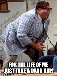 Chris Farley jack shit | FOR THE LIFE OF ME JUST TAKE A DARN NAP! | image tagged in chris farley jack shit | made w/ Imgflip meme maker