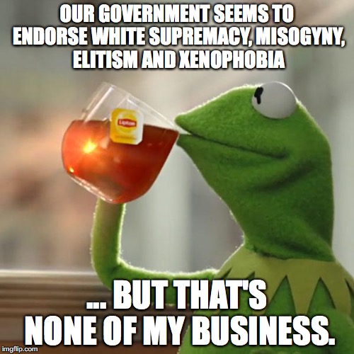 What do I know? | OUR GOVERNMENT SEEMS TO ENDORSE WHITE SUPREMACY, MISOGYNY, ELITISM AND XENOPHOBIA; ... BUT THAT'S NONE OF MY BUSINESS. | image tagged in memes,but thats none of my business,kermit the frog | made w/ Imgflip meme maker