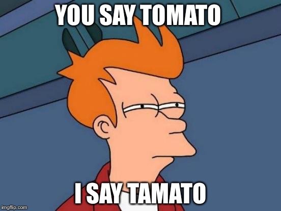 Futurama Fry Meme | YOU SAY TOMATO; I SAY TAMATO | image tagged in memes,futurama fry | made w/ Imgflip meme maker