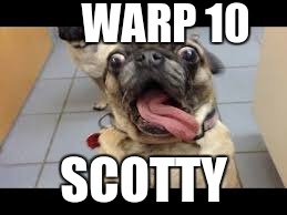 WARP 10; SCOTTY | image tagged in star trek,pug,aaaaaaaa | made w/ Imgflip meme maker
