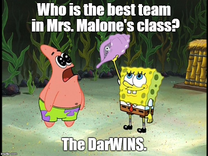 Who is the best team in Mrs. Malone's class? The DarWINS. | made w/ Imgflip meme maker