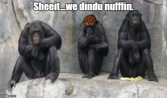 dindu nuffins | Sheeit...we dindu nufffin. | image tagged in dindu | made w/ Imgflip meme maker
