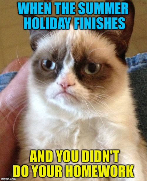 Grumpy Cat Meme | WHEN THE SUMMER HOLIDAY FINISHES; AND YOU DIDN'T DO YOUR HOMEWORK | image tagged in memes,grumpy cat | made w/ Imgflip meme maker