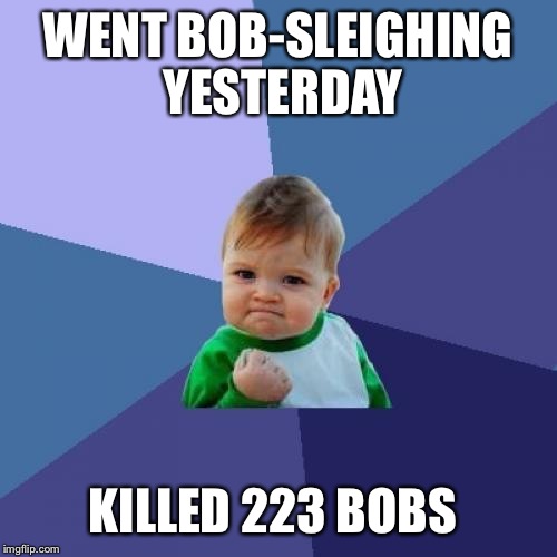 Success Kid Meme | WENT BOB-SLEIGHING YESTERDAY; KILLED 223 BOBS | image tagged in memes,success kid | made w/ Imgflip meme maker