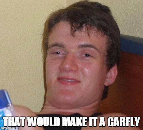 10 Guy Meme | THAT WOULD MAKE IT A CARFLY | image tagged in memes,10 guy | made w/ Imgflip meme maker