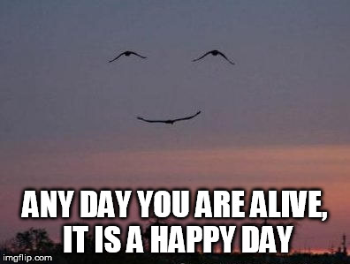 enjoy life each day | ANY DAY YOU ARE ALIVE, IT IS A HAPPY DAY | image tagged in happy day,happy meme,smile,birds | made w/ Imgflip meme maker