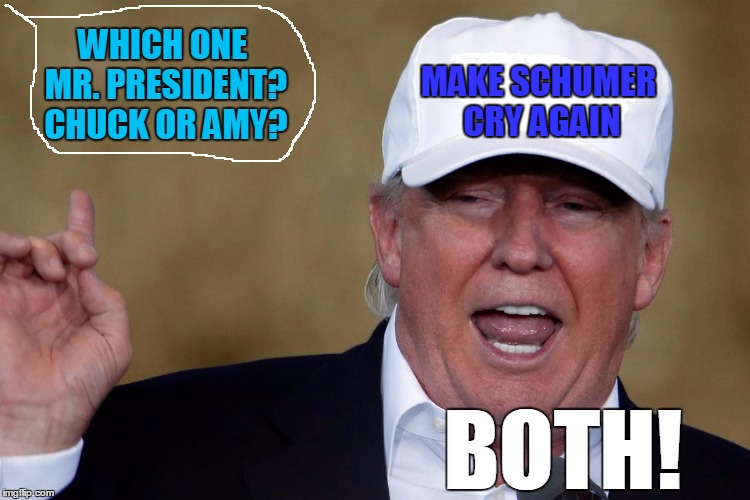 Have fun with the Donald in a blank maga hat | WHICH ONE MR. PRESIDENT? CHUCK OR AMY? MAKE SCHUMER CRY AGAIN; BOTH! | image tagged in donald trump blank maga hat,chuck schumer,chuck schumer crying,amy schumer | made w/ Imgflip meme maker