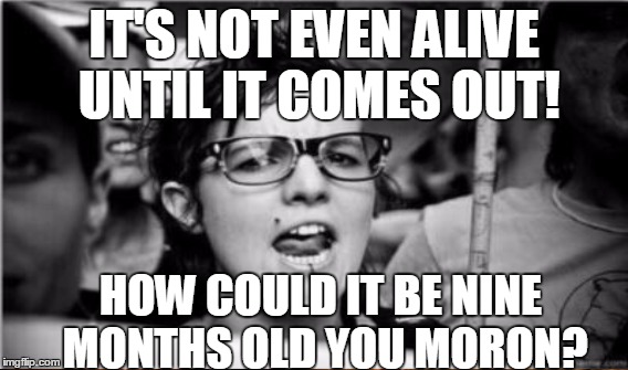 IT'S NOT EVEN ALIVE UNTIL IT COMES OUT! HOW COULD IT BE NINE MONTHS OLD YOU MORON? | made w/ Imgflip meme maker