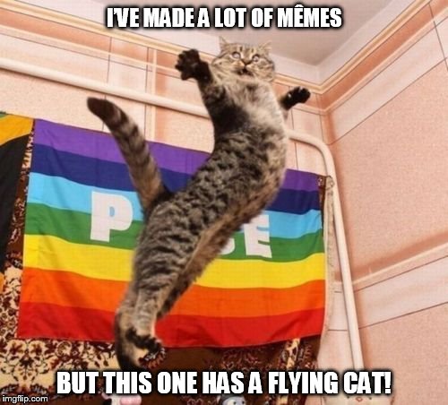 FLYING CAT | I’VE MADE A LOT OF MÊMES; BUT THIS ONE HAS A FLYING CAT! | image tagged in flying cat,ive made a lot of mmes but this one has a flying cat,peace | made w/ Imgflip meme maker