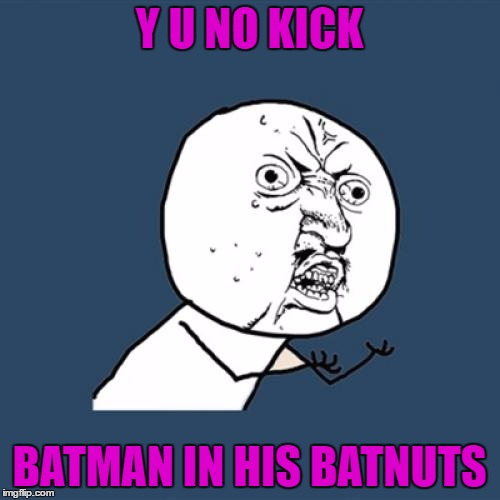 Y U No Meme | Y U NO KICK BATMAN IN HIS BATNUTS | image tagged in memes,y u no | made w/ Imgflip meme maker
