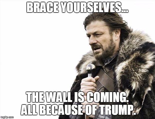 Brace Yourselves X is Coming | BRACE YOURSELVES... THE WALL IS COMING. ALL BECAUSE OF TRUMP. | image tagged in memes,brace yourselves x is coming | made w/ Imgflip meme maker