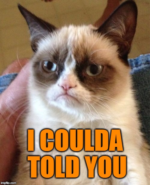 Grumpy Cat Meme | I COULDA TOLD YOU | image tagged in memes,grumpy cat | made w/ Imgflip meme maker