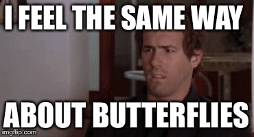 Confused | I FEEL THE SAME WAY ABOUT BUTTERFLIES | image tagged in confused | made w/ Imgflip meme maker
