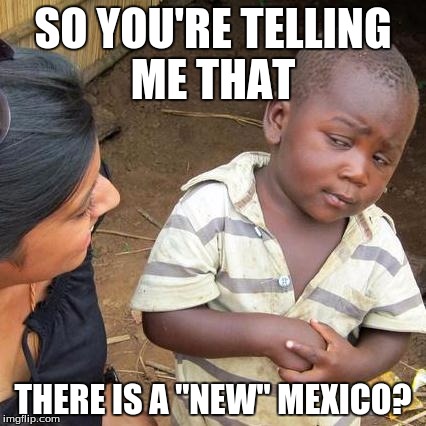 Third World Skeptical Kid | SO YOU'RE TELLING ME THAT; THERE IS A "NEW" MEXICO? | image tagged in memes,third world skeptical kid | made w/ Imgflip meme maker