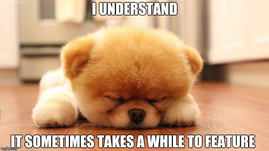 Sleeping dog | I UNDERSTAND IT SOMETIMES TAKES A WHILE TO FEATURE | image tagged in sleeping dog | made w/ Imgflip meme maker