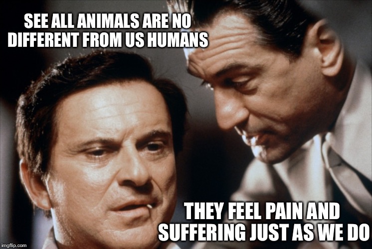 Pesci and De Niro Goodfellas | SEE ALL ANIMALS ARE NO DIFFERENT FROM US HUMANS; THEY FEEL PAIN AND SUFFERING JUST AS WE DO | image tagged in pesci and de niro goodfellas,vegan,vegan4life,veganism,vegans do everthing better even fart,goodfellas | made w/ Imgflip meme maker