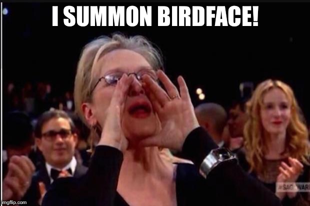 meryl streep | I SUMMON BIRDFACE! | image tagged in meryl streep | made w/ Imgflip meme maker