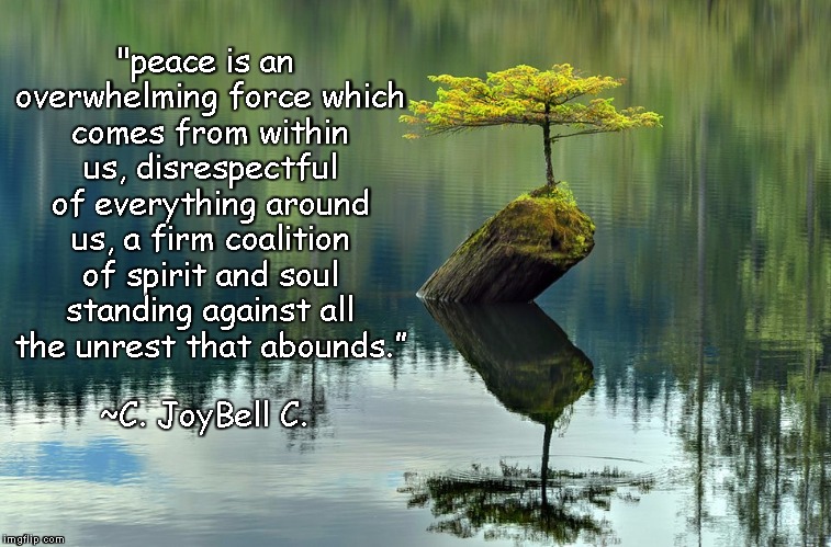 Tree In Calm Lake | "peace is an overwhelming force which comes from within us, disrespectful of everything around us, a firm coalition of spirit and soul standing against all the unrest that abounds.”; ~C. JoyBell C. | image tagged in c joybell c,peace,perseverance,spirit,soul,adversity | made w/ Imgflip meme maker