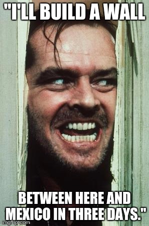 Heres Johnny | "I'LL BUILD A WALL; BETWEEN HERE AND MEXICO IN THREE DAYS." | image tagged in memes,heres johnny,jack nicholson,the shining | made w/ Imgflip meme maker