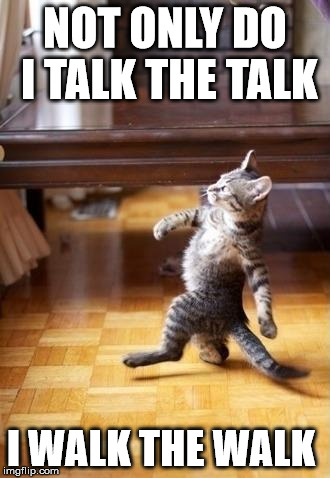 Cool Cat Stroll Meme | NOT ONLY DO I TALK THE TALK; I WALK THE WALK | image tagged in memes,cool cat stroll | made w/ Imgflip meme maker