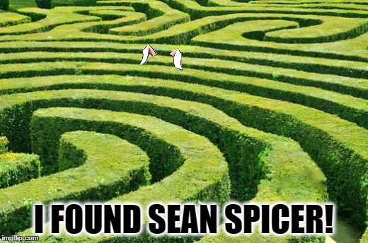 Sean Spicer Found! | I FOUND SEAN SPICER! | image tagged in sean spicer,hiding,bushes | made w/ Imgflip meme maker
