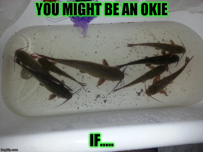 Bathtub Memes Gifs Imgflip, Fishing In Bathtub Meme