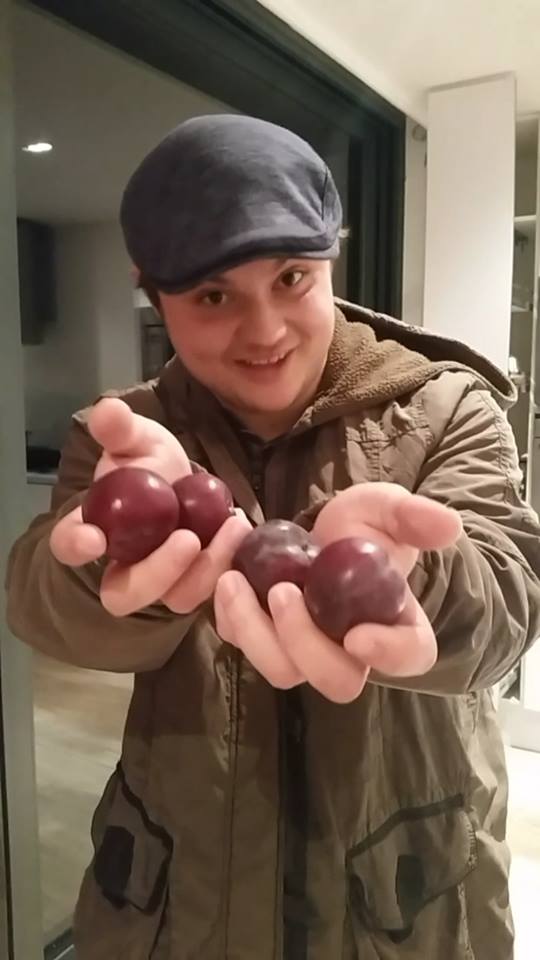 High Quality Plums from te market Blank Meme Template