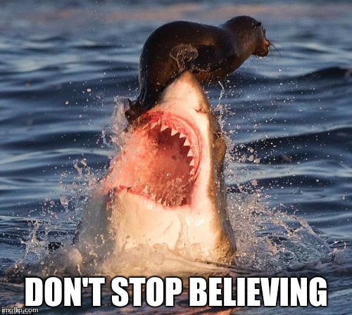 Travelonshark | DON'T STOP BELIEVING | image tagged in memes,travelonshark | made w/ Imgflip meme maker