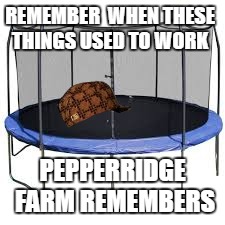 Trampolines Don't Work Anymore :( | REMEMBER  WHEN THESE THINGS USED TO WORK; PEPPERRIDGE FARM REMEMBERS | image tagged in upvote | made w/ Imgflip meme maker