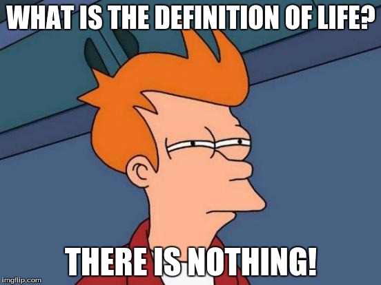 Futurama Fry | WHAT IS THE DEFINITION OF LIFE? THERE IS NOTHING! | image tagged in memes,futurama fry | made w/ Imgflip meme maker
