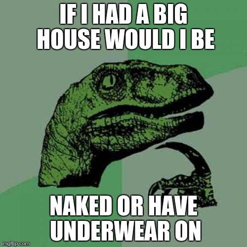 Philosoraptor Meme | IF I HAD A BIG HOUSE WOULD I BE; NAKED OR HAVE UNDERWEAR ON | image tagged in memes,philosoraptor | made w/ Imgflip meme maker