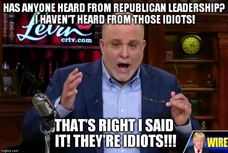 HAS ANYONE HEARD FROM REPUBLICAN LEADERSHIP? I HAVEN'T HEARD FROM THOSE IDIOTS! THAT'S RIGHT I SAID IT! THEY'RE IDIOTS!!! | image tagged in mark levin flips out | made w/ Imgflip meme maker