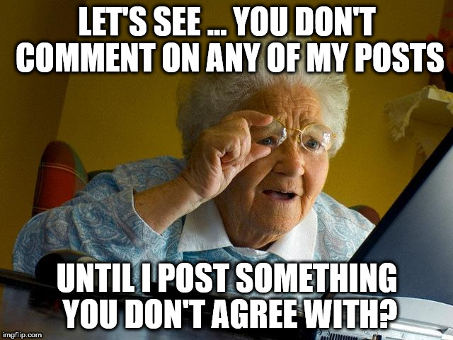 Grandma Finds The Internet | LET'S SEE ... YOU DON'T COMMENT ON ANY OF MY POSTS; UNTIL I POST SOMETHING YOU DON'T AGREE WITH? | image tagged in memes,grandma finds the internet | made w/ Imgflip meme maker
