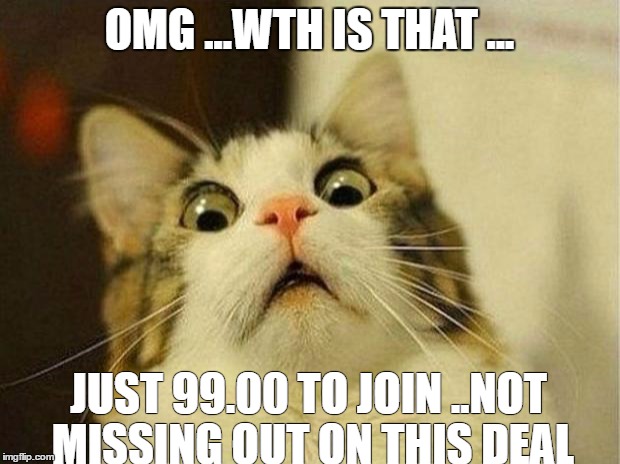 Scared Cat | OMG ...WTH IS THAT ... JUST 99.00 TO JOIN ..NOT MISSING OUT ON THIS DEAL | image tagged in memes,scared cat | made w/ Imgflip meme maker