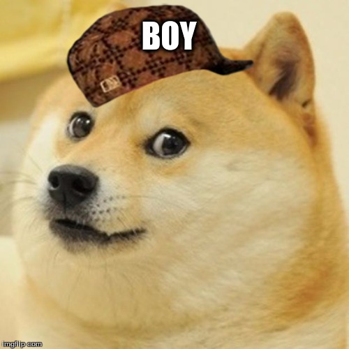 Doge Meme | BOY | image tagged in memes,doge,scumbag | made w/ Imgflip meme maker
