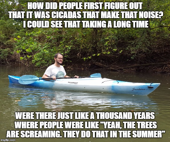 Kayak Kelly | HOW DID PEOPLE FIRST FIGURE OUT THAT IT WAS CICADAS THAT MAKE THAT NOISE? I COULD SEE THAT TAKING A LONG TIME; WERE THERE JUST LIKE A THOUSAND YEARS WHERE PEOPLE WERE LIKE "YEAH, THE TREES ARE SCREAMING. THEY DO THAT IN THE SUMMER" | image tagged in kayak kelly,funny | made w/ Imgflip meme maker