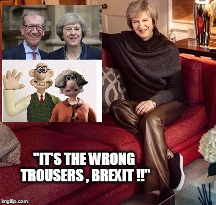 theresa may | "IT'S THE WRONG TROUSERS , BREXIT !!" | image tagged in may,theresa | made w/ Imgflip meme maker