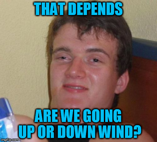 10 Guy Meme | THAT DEPENDS ARE WE GOING UP OR DOWN WIND? | image tagged in memes,10 guy | made w/ Imgflip meme maker