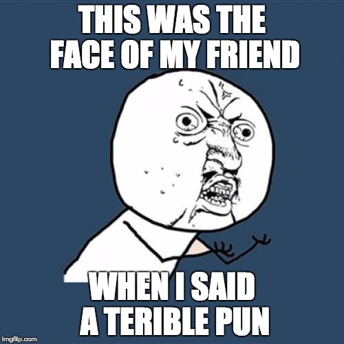 Y U No Meme | THIS WAS THE FACE OF MY FRIEND; WHEN I SAID A TERIBLE PUN | image tagged in memes,y u no | made w/ Imgflip meme maker