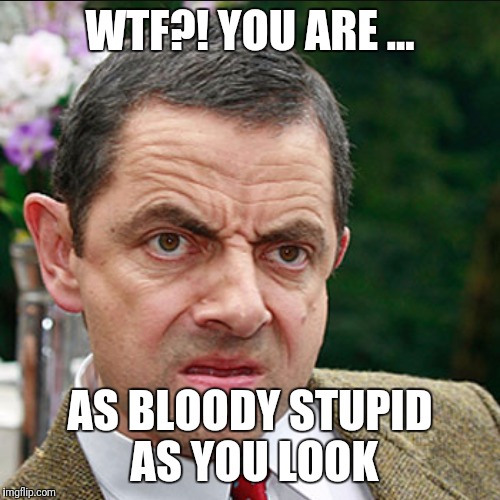 WTF?! YOU ARE ... AS BLOODY STUPID AS YOU LOOK | made w/ Imgflip meme maker