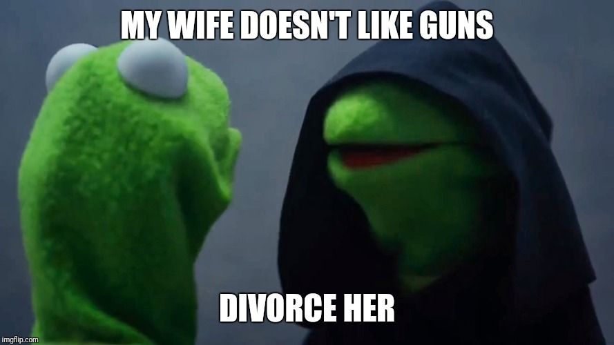 Kermit Inner Me | MY WIFE DOESN'T LIKE GUNS; DIVORCE HER | image tagged in kermit inner me | made w/ Imgflip meme maker