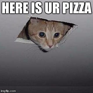 Ceiling Cat | HERE IS UR PIZZA | image tagged in memes,ceiling cat | made w/ Imgflip meme maker