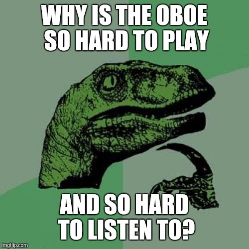 A quiet moment for all the super skilled Oboe players, please. *SQUEAK* | WHY IS THE OBOE SO HARD TO PLAY; AND SO HARD TO LISTEN TO? | image tagged in memes,philosoraptor,the sound of music | made w/ Imgflip meme maker