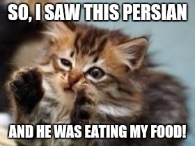 Alien cat | SO, I SAW THIS PERSIAN; AND HE WAS EATING MY FOOD! | image tagged in alien cat | made w/ Imgflip meme maker