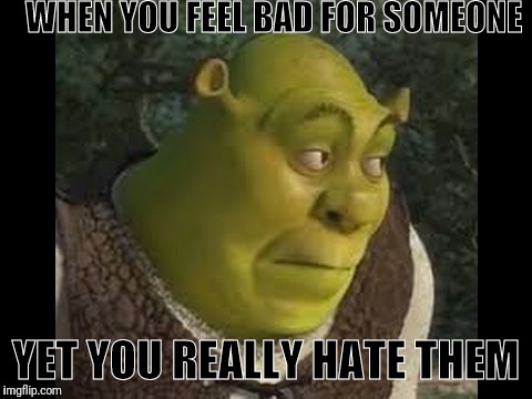 You know that feeling... | WHEN YOU FEEL BAD FOR SOMEONE; YET YOU REALLY HATE THEM | image tagged in shrek | made w/ Imgflip meme maker