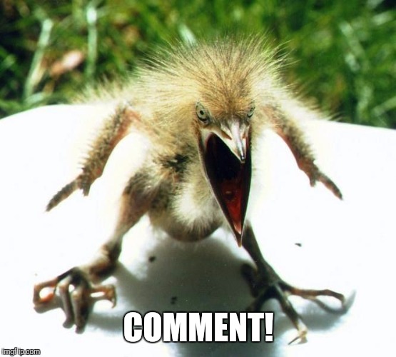 Angry bird | COMMENT! | image tagged in angry bird | made w/ Imgflip meme maker