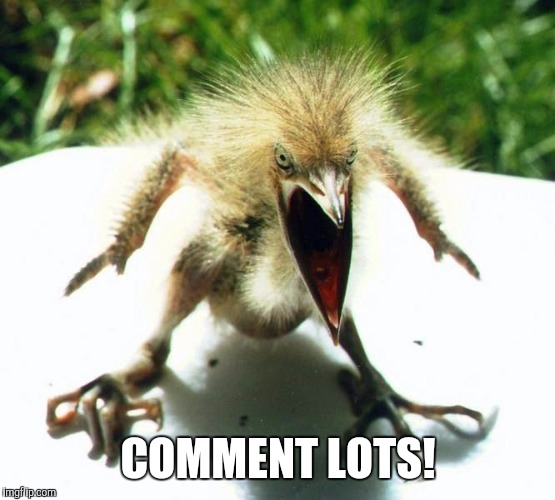 Angry bird | COMMENT LOTS! | image tagged in angry bird | made w/ Imgflip meme maker