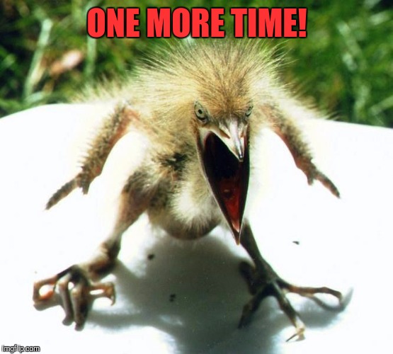 Unpleasant Bird | ONE MORE TIME! | image tagged in unpleasant bird | made w/ Imgflip meme maker